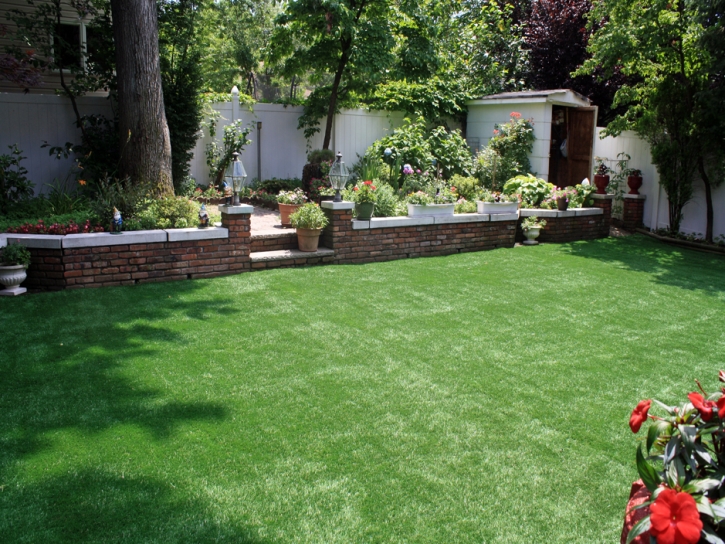 Installing Artificial Grass Three Oaks, Florida Landscape Photos, Backyard Landscaping