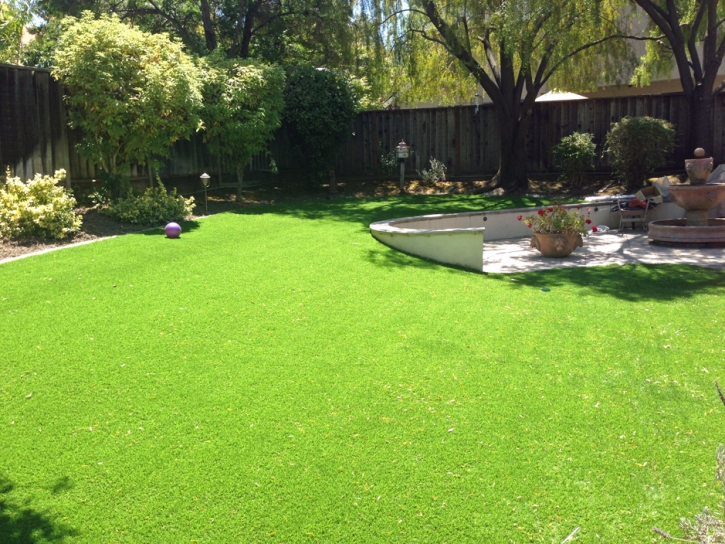 Lawn Services Lauderhill, Florida Lawns, Backyard Landscape Ideas