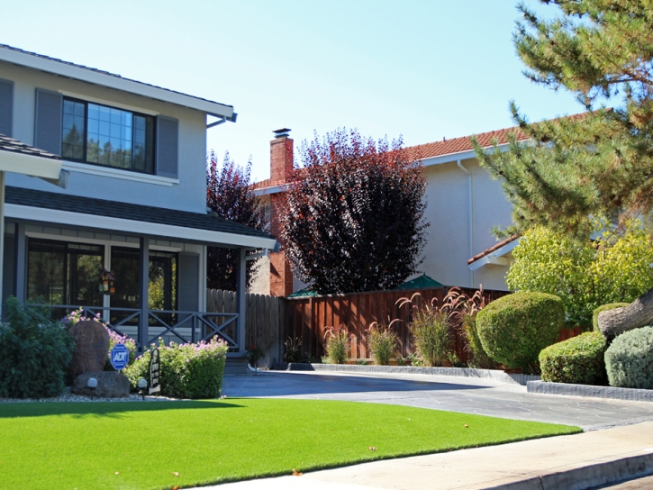 Outdoor Carpet Homestead, Florida Lawn And Landscape, Front Yard Landscaping