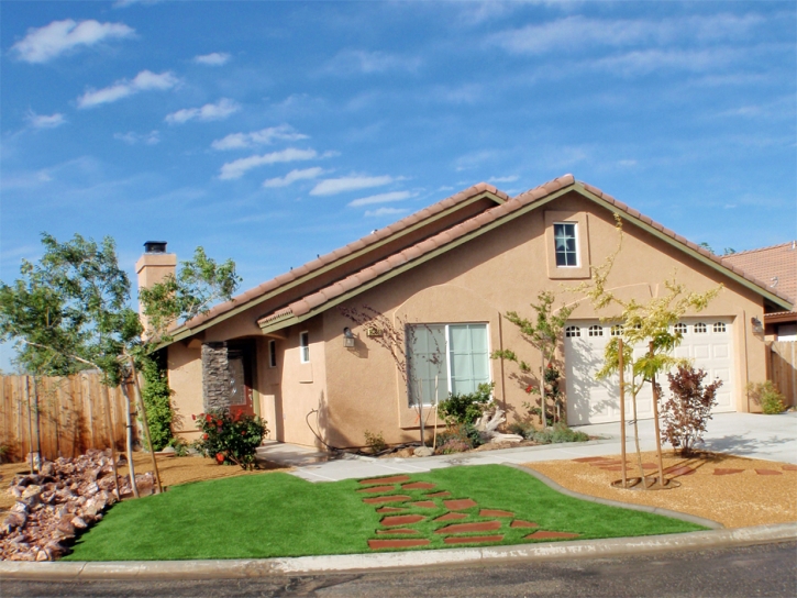 Outdoor Carpet Lely, Florida Gardeners, Front Yard Ideas