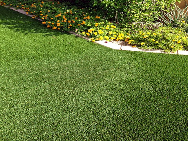 Outdoor Carpet Westwood Lake, Florida Landscaping Business, Front Yard