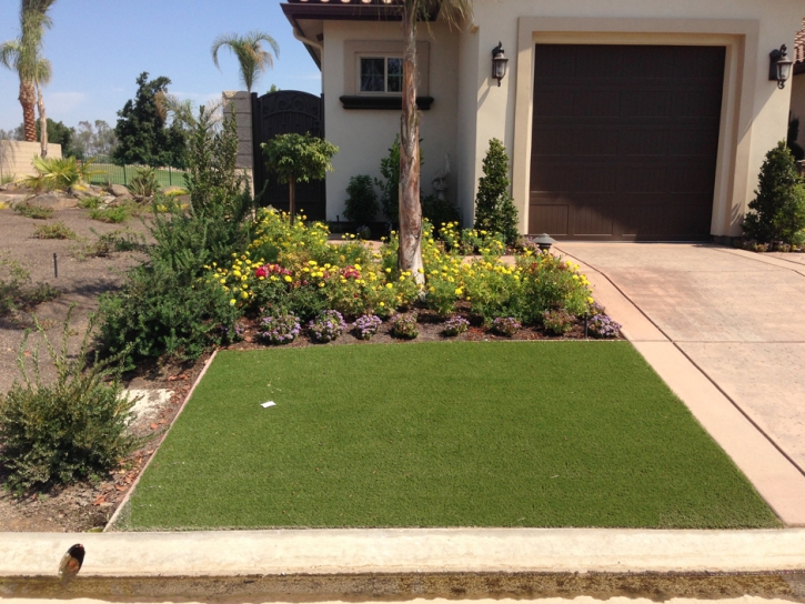 Plastic Grass Key West, Florida Landscaping Business, Small Front Yard Landscaping