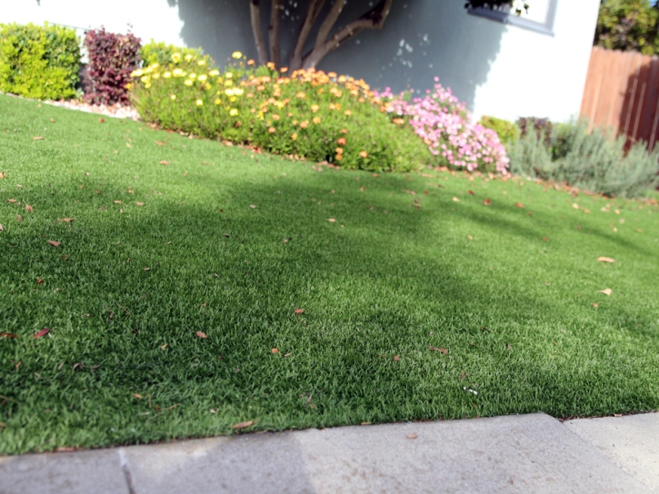 Plastic Grass Margate, Florida Landscape Ideas, Small Front Yard Landscaping