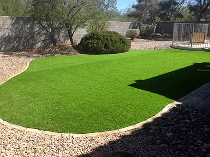 Plastic Grass Medley, Florida Landscape Ideas, Backyard Garden Ideas