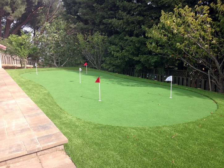 Plastic Grass Memphis, Florida Artificial Putting Greens, Backyard