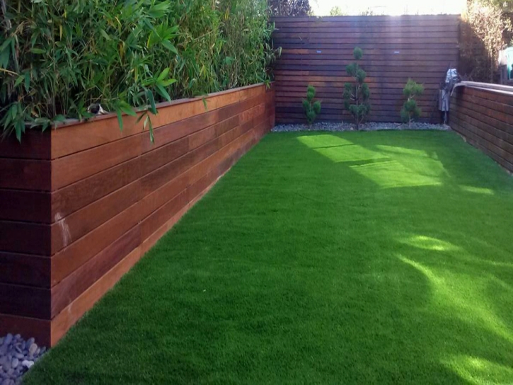 Plastic Grass Naples Park, Florida Lawns, Backyard Garden Ideas