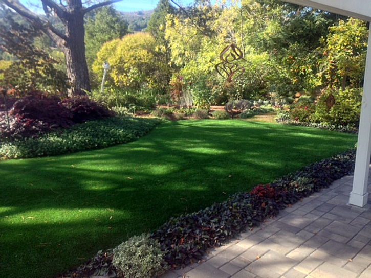 Plastic Grass Ojus, Florida Lawn And Landscape, Backyards