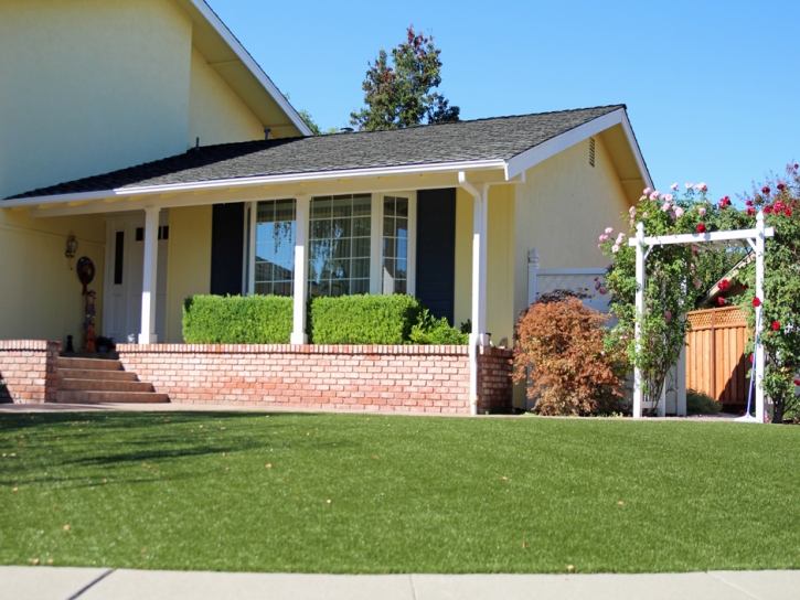 Plastic Grass San Carlos Park, Florida Landscaping, Front Yard