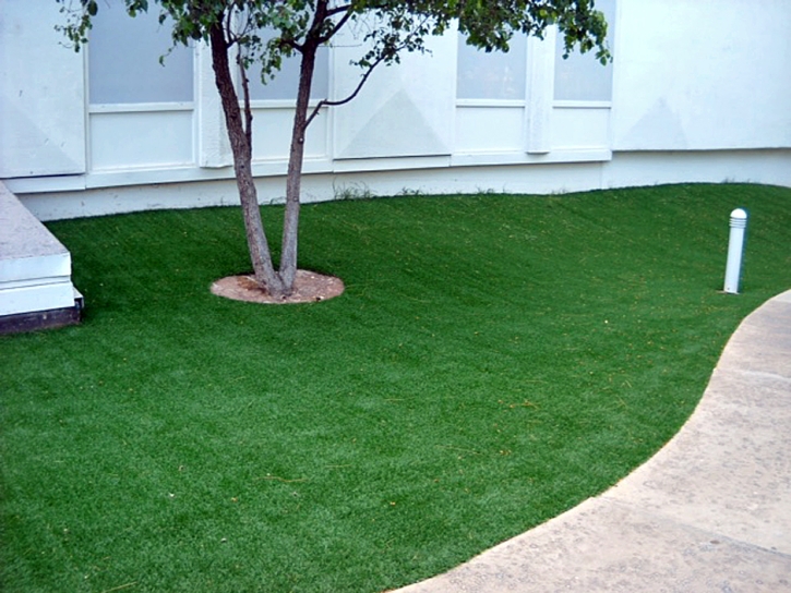 Plastic Grass Virginia Gardens, Florida Lawn And Landscape, Commercial Landscape