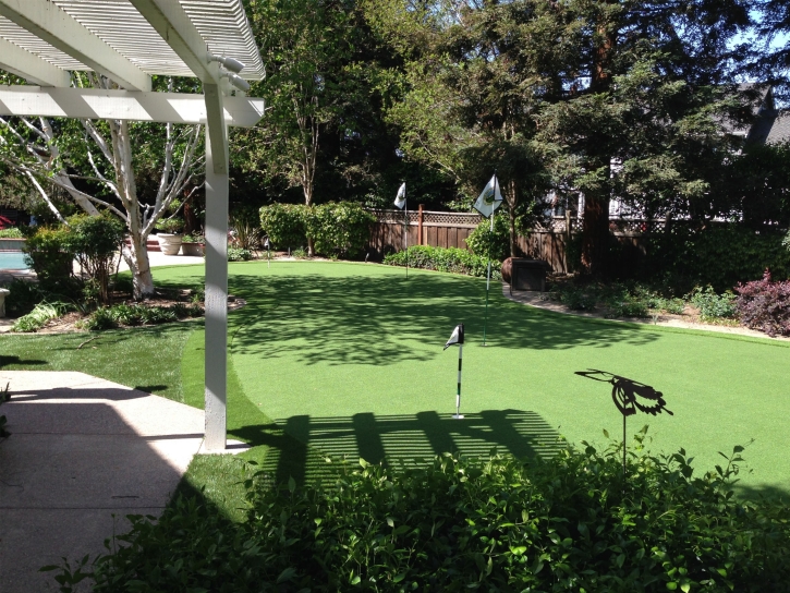 Synthetic Grass Cost Charlotte Park, Florida Landscape Ideas