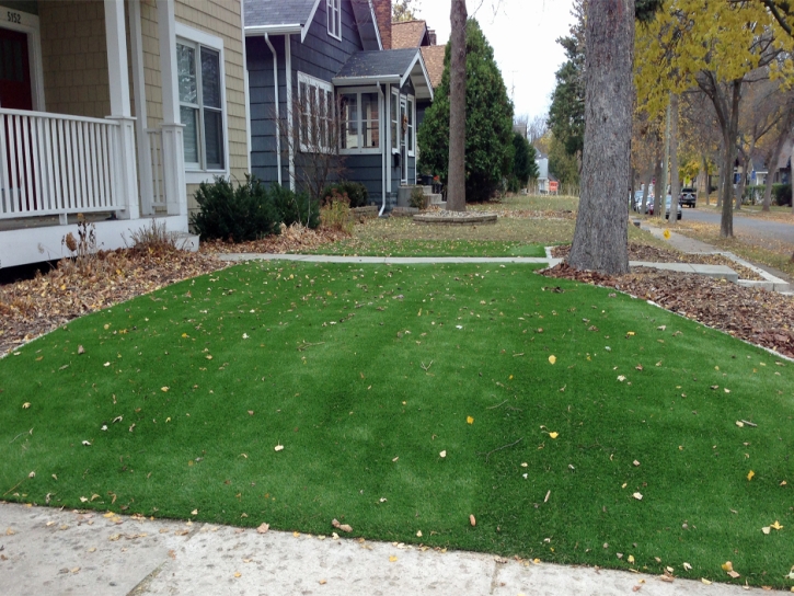 Synthetic Grass Cost Clewiston, Florida Garden Ideas, Front Yard Ideas