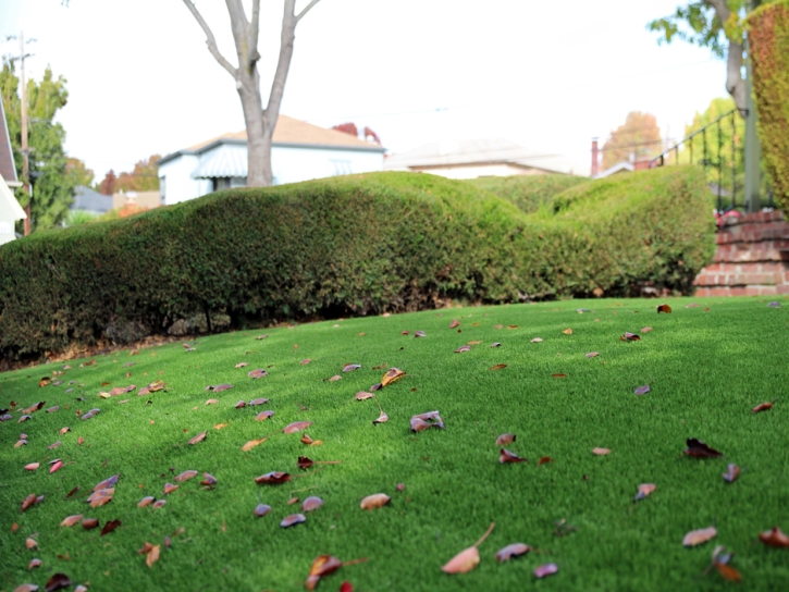 Synthetic Grass Cost Coconut Creek, Florida Lawn And Garden, Landscaping Ideas For Front Yard