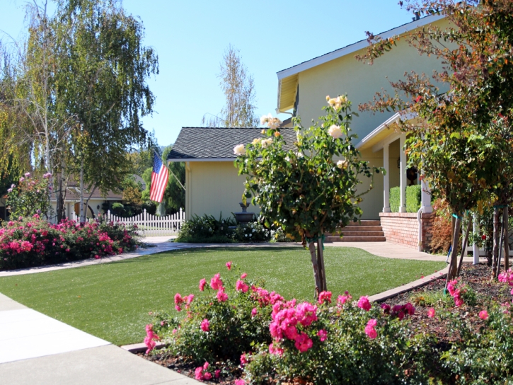 Synthetic Grass Cost Crystal Lake, Florida Landscaping Business, Small Front Yard Landscaping