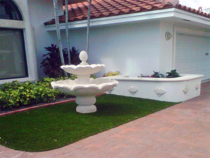 Synthetic Grass Cost Goulds, Florida Landscape Ideas, Front Yard