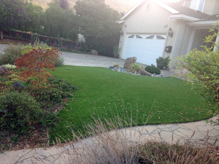 Synthetic Grass Cost Hollywood, Florida Gardeners, Front Yard Landscaping