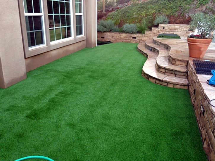 Synthetic Grass Cost Lehigh Acres, Florida Garden Ideas, Beautiful Backyards