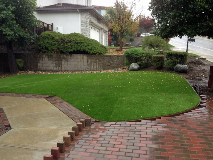 Synthetic Grass Cost Miami, Florida Landscaping, Backyard Landscaping