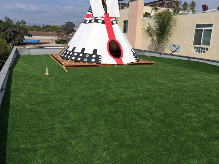 Synthetic Grass Cost Miami Springs, Florida Backyard Playground, Veranda