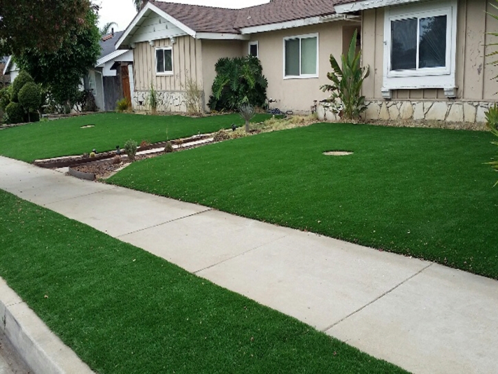 Synthetic Grass Cost Poinciana, Florida Gardeners, Front Yard Ideas