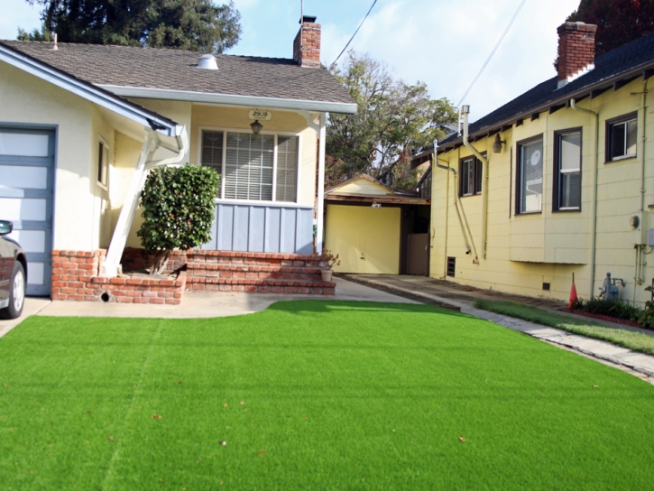 Synthetic Grass Cost Pompano Beach, Florida Landscape Design, Front Yard Landscape Ideas