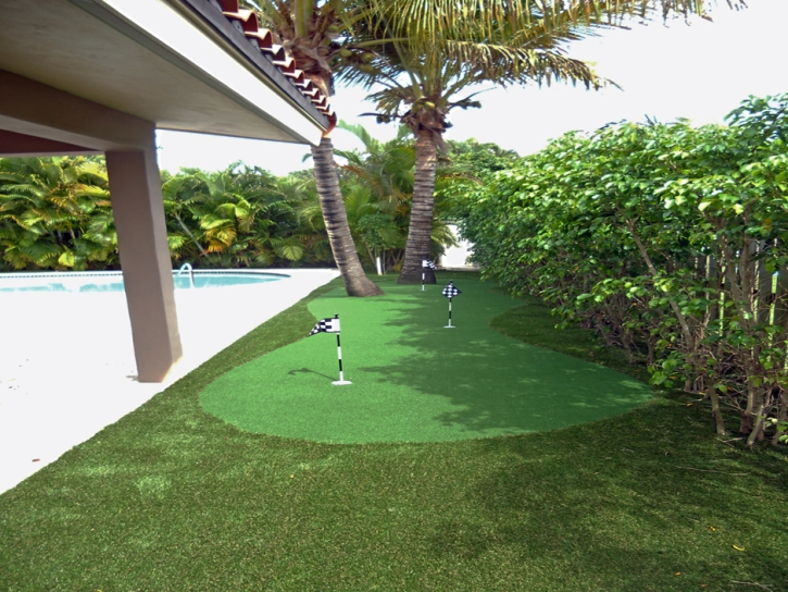 Synthetic Grass Cost River Park, Florida Landscape Rock, Small Backyard Ideas