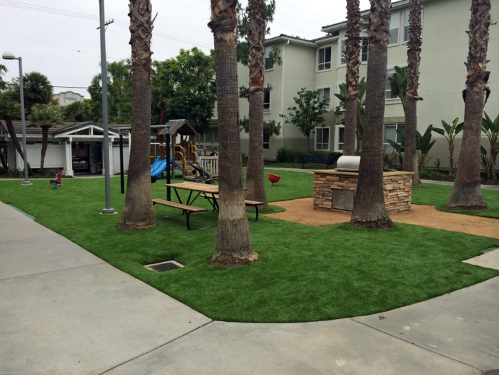 Synthetic Grass Cost Sunshine Ranches, Florida Landscape Photos, Commercial Landscape