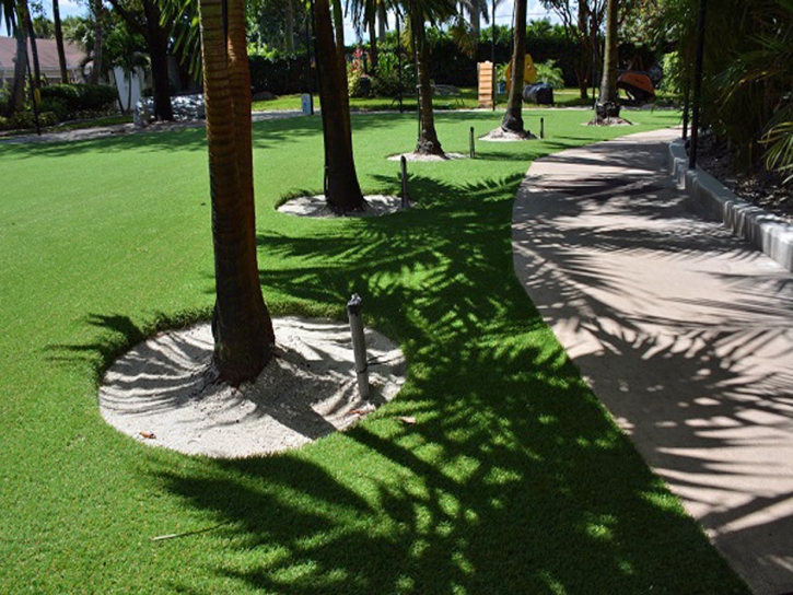 Synthetic Grass Cost Villages of Oriole, Florida Landscape Ideas, Commercial Landscape