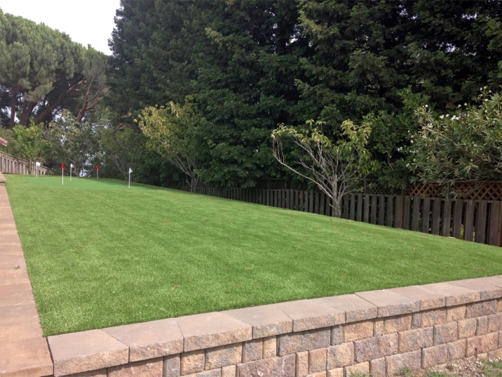 Synthetic Grass Gibsonia, Florida Putting Green Flags, Backyard Ideas