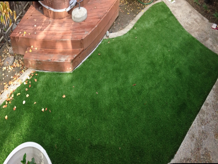 Synthetic Grass Hypoluxo, Florida Rooftop, Small Backyard Ideas