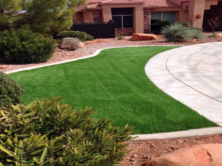 Synthetic Grass Immokalee, Florida Landscape Ideas, Front Yard Design