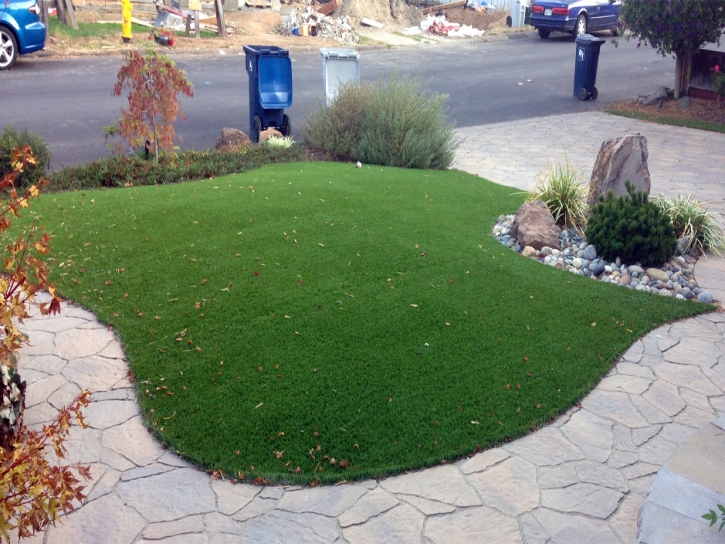 Synthetic Grass Leisure City, Florida Landscaping Business