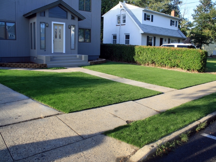 Synthetic Grass Norland, Florida Paver Patio, Front Yard Landscaping Ideas