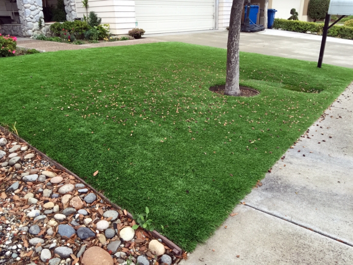 Synthetic Grass Wellington, Florida Roof Top, Front Yard Ideas