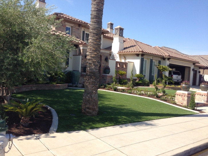 Synthetic Lawn Juno Ridge, Florida Lawns, Landscaping Ideas For Front Yard