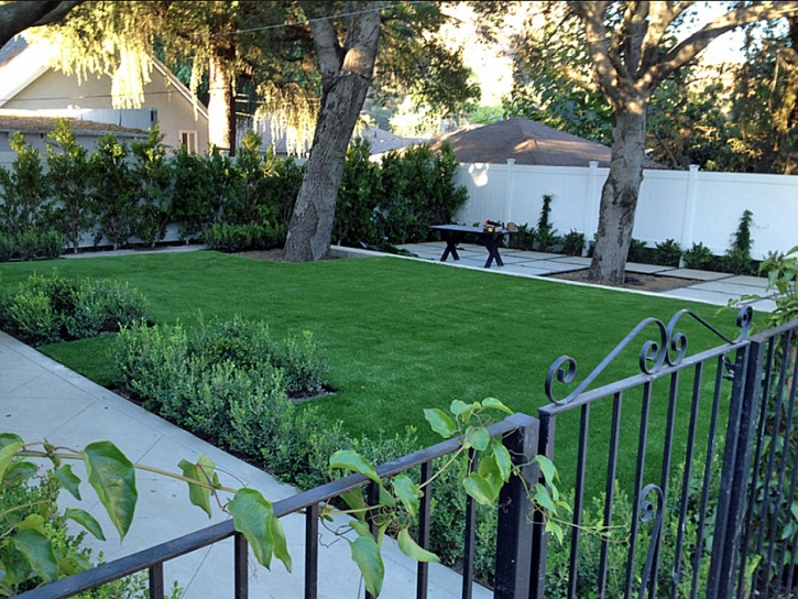 Synthetic Lawn Lake Worth Corridor, Florida Landscaping Business, Front Yard Landscaping Ideas