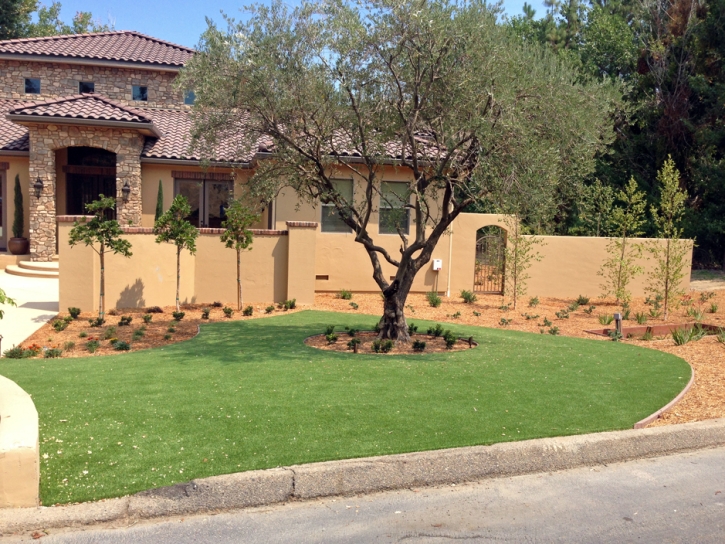 Synthetic Lawn Lantana, Florida Landscape Design, Front Yard Landscape Ideas