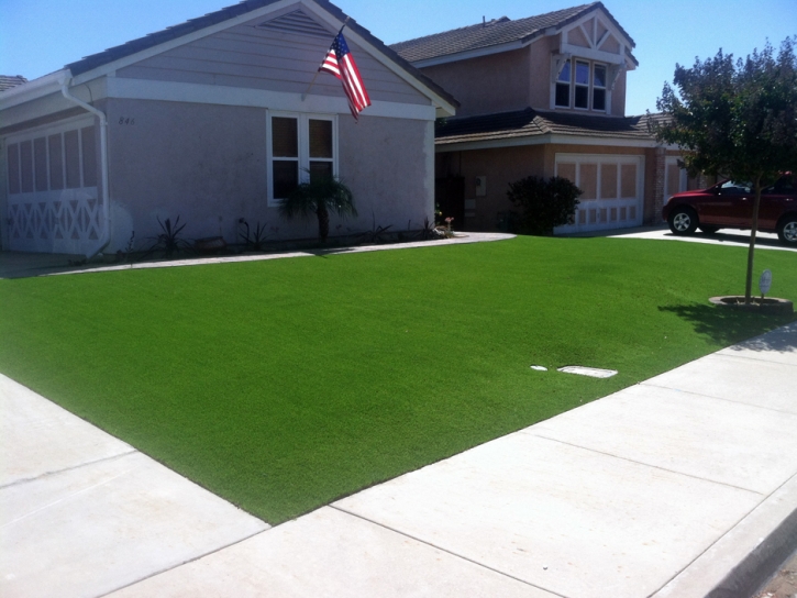 Synthetic Lawn Mangonia Park, Florida Landscaping, Front Yard Landscaping Ideas