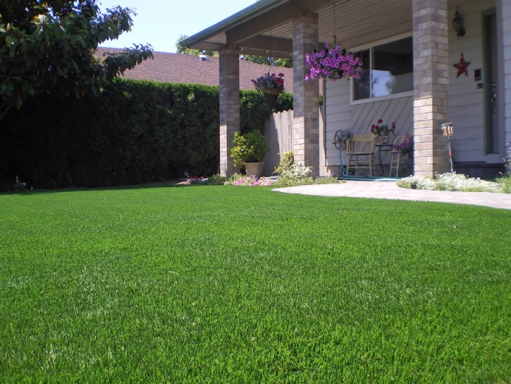 Synthetic Lawn Ocean Breeze Park, Florida Lawn And Landscape, Landscaping Ideas For Front Yard