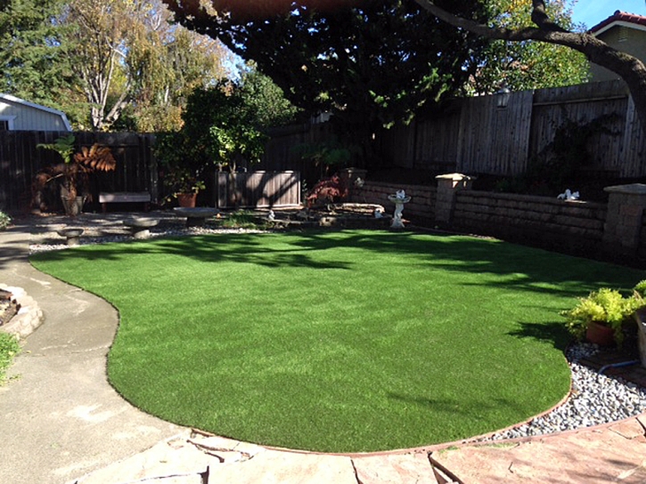 Synthetic Lawn Okeechobee, Florida Landscape Rock, Small Backyard Ideas