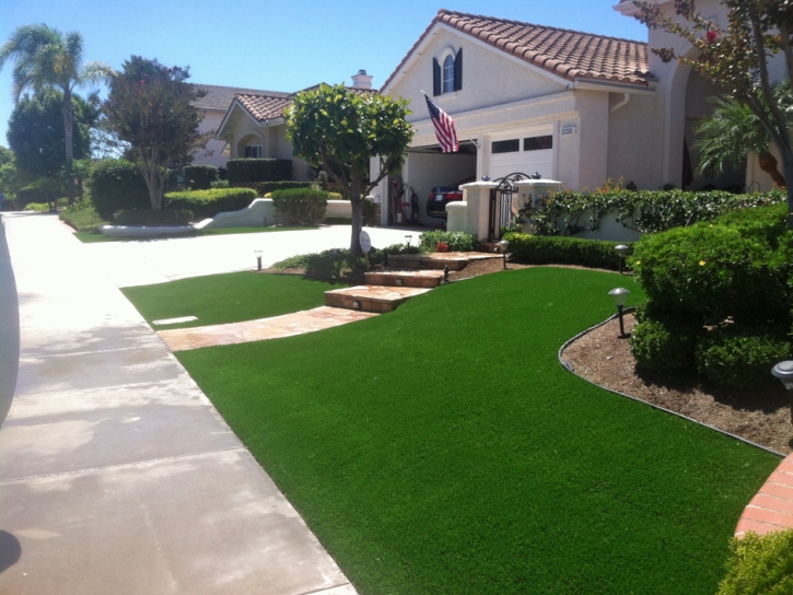 Synthetic Lawn Palm Beach Shores, Florida Lawns, Front Yard Landscaping Ideas