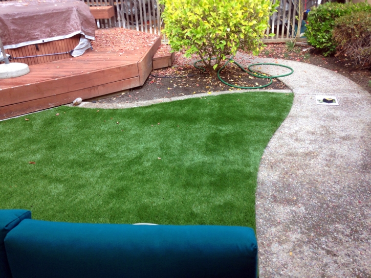 Synthetic Lawn Pompano Beach Highlands, Florida Roof Top, Backyard Garden Ideas