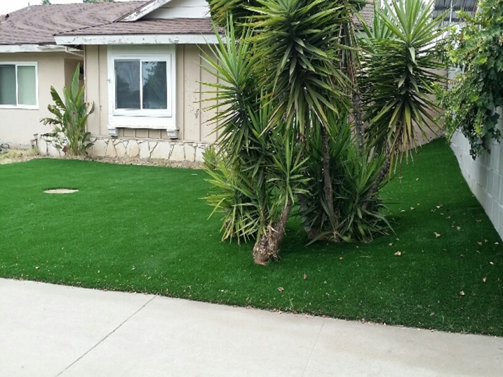 Synthetic Lawn Saint Cloud, Florida Lawn And Landscape, Front Yard Design