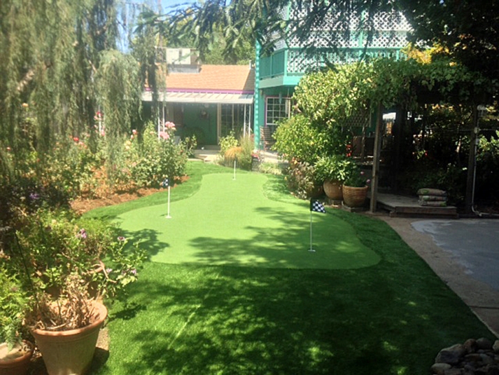 Synthetic Turf Carol City, Florida Gardeners