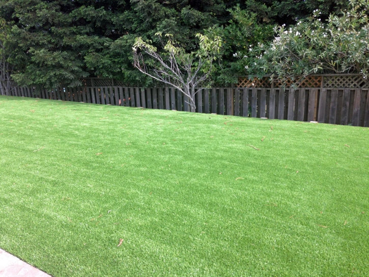 Synthetic Turf Dover, Florida Landscape Photos, Backyards