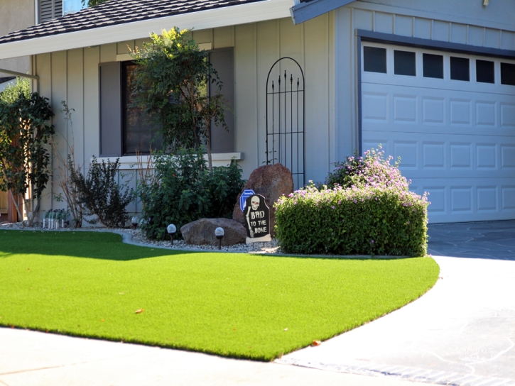 Synthetic Turf Fussels Corner, Florida Home And Garden, Front Yard Landscaping