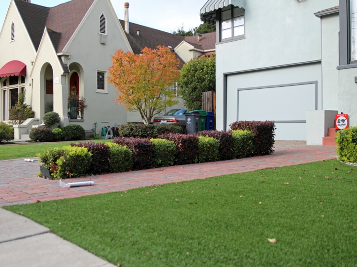 Synthetic Turf Kendall Green, Florida Lawns, Front Yard Landscape Ideas