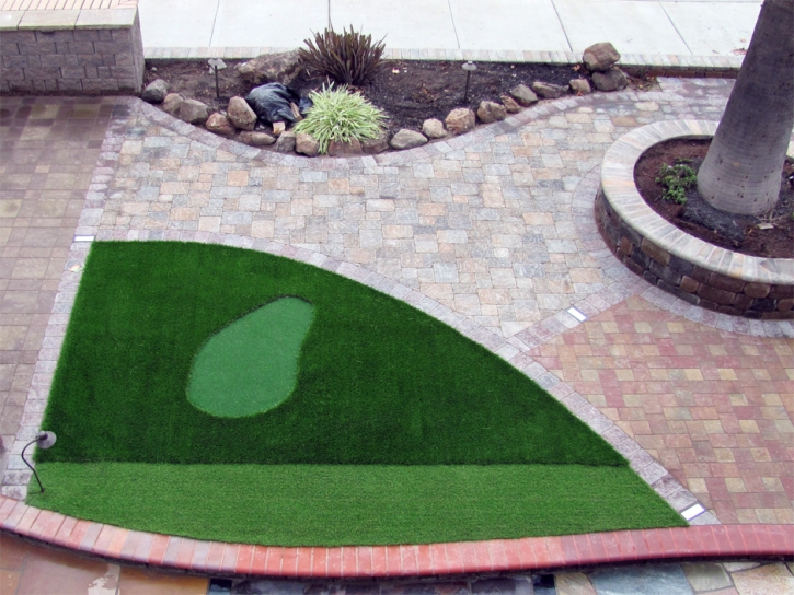 Synthetic Turf Lake Lucerne, Florida Putting Green Turf, Front Yard Design