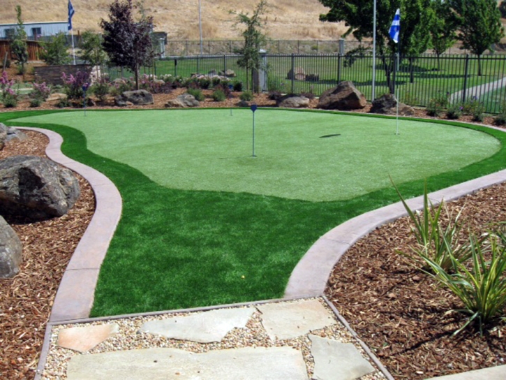 Synthetic Turf Palm Bay, Florida Rooftop, Backyard Landscaping