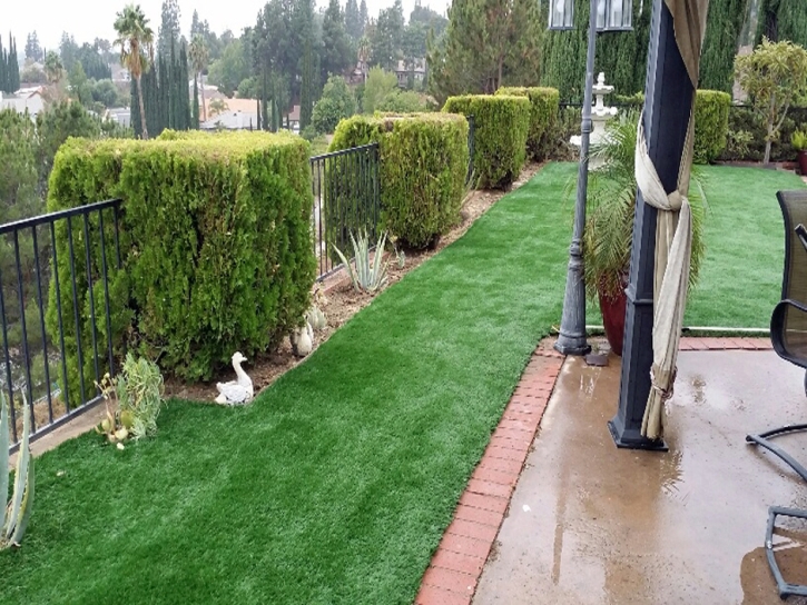 Synthetic Turf Sarasota, Florida Lawn And Garden, Backyard Makeover