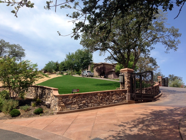 Synthetic Turf Southchase, Florida Landscape Design, Small Front Yard Landscaping